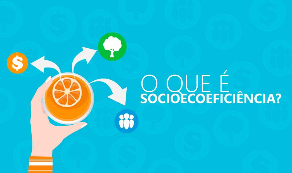 O que é Socioecoeficiência