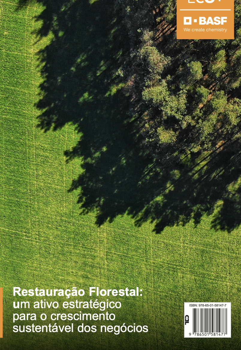 Restauração Florestal: um ativo estratégico para o crescimento sustentável dos negócios