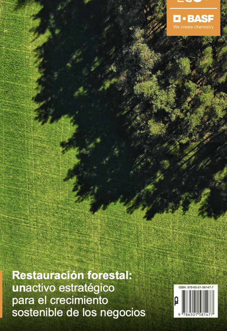 Restauración forestal: unactivo estratégico para el crecimiento sostenible de los negocios